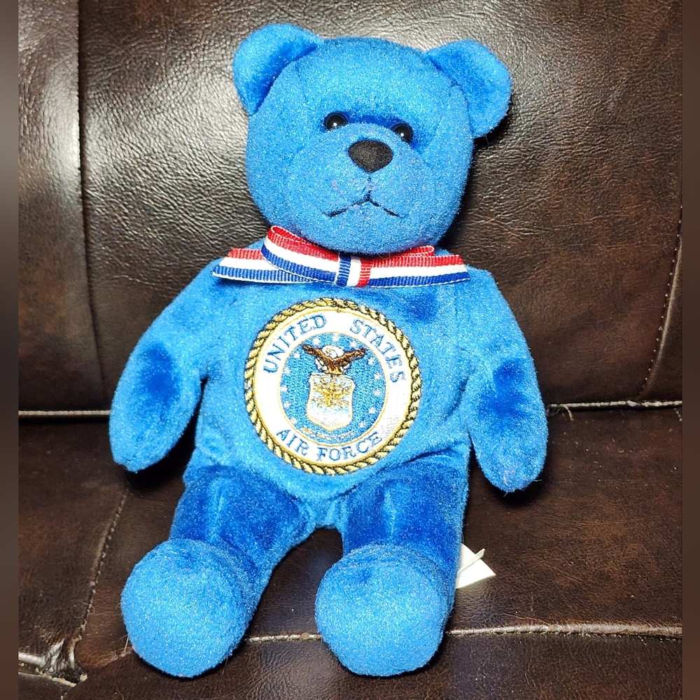 Beary Thoughtful Air Force Bear